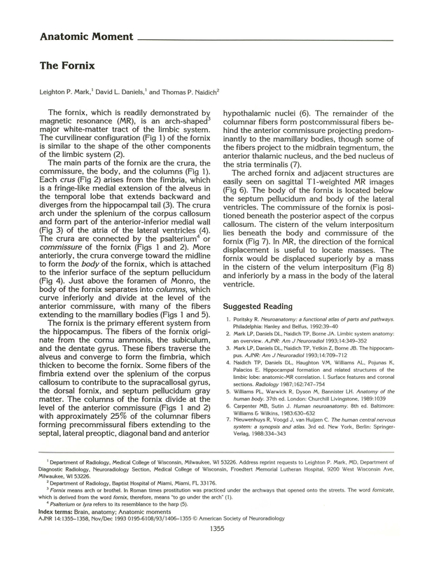 PDF extract preview