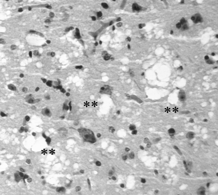 Fig 3.