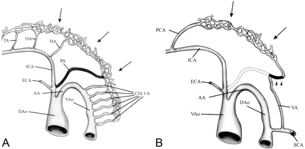 Fig 5.