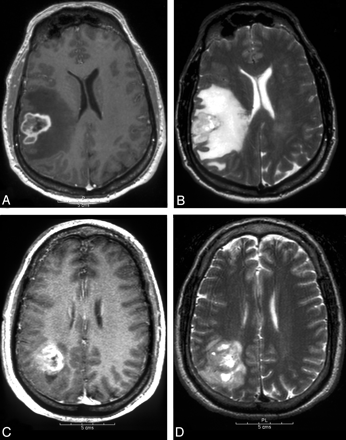 Fig 1.