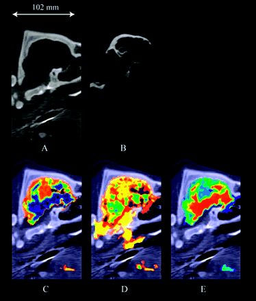 Fig 2.
