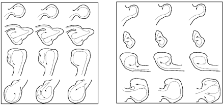Fig 5.