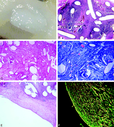 Fig 3.