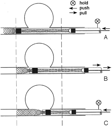 Fig 3.