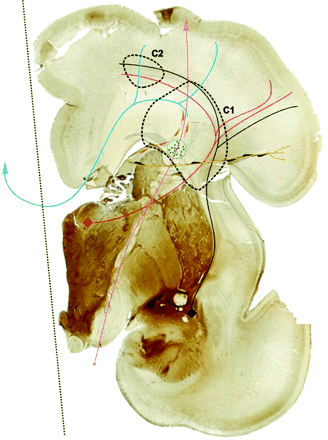 Fig 7.