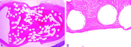 Fig 1.