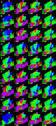 Fig 8.