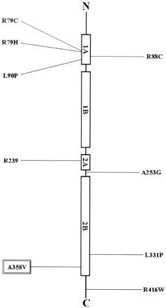 Fig 3.