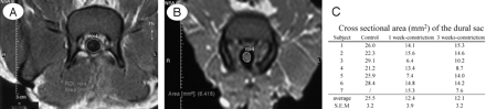 Fig 2.