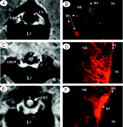 Fig 3.