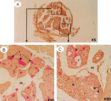 Fig 5.