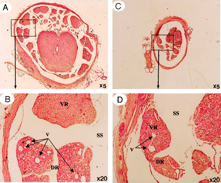 Fig 6.