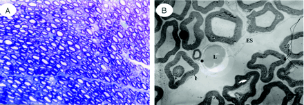 Fig 8.