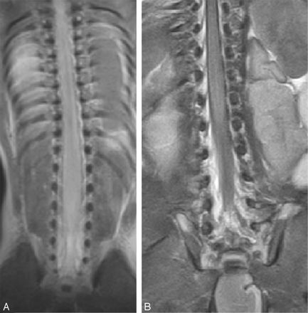 Fig 8.