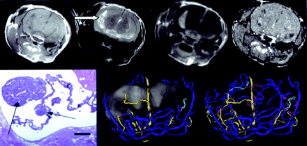 Fig 2.