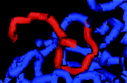 Fig 3.