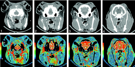 Fig 2.