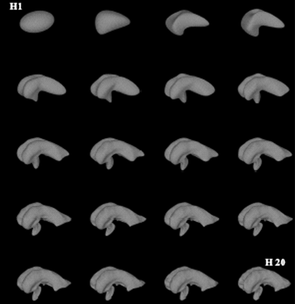 Fig 1.