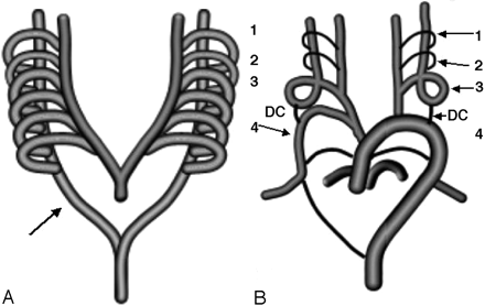 Fig 8.