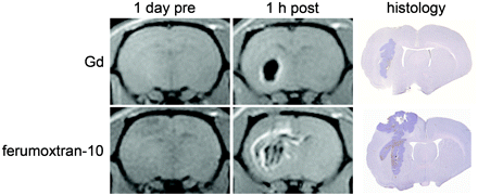 Fig 1.