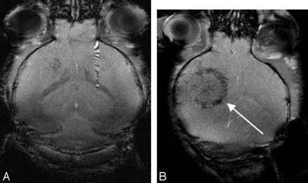 Fig 4.