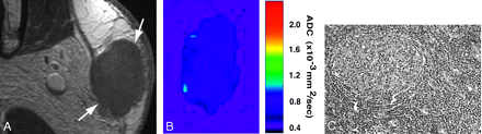 Fig 6.