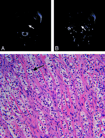   Fig 1. 