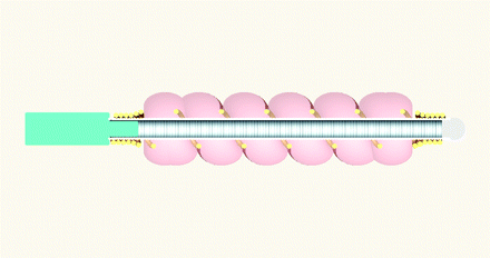 Fig 1.