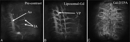 Fig 1.