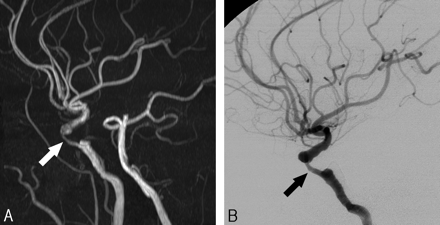 Fig 1.