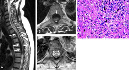 Fig 1.