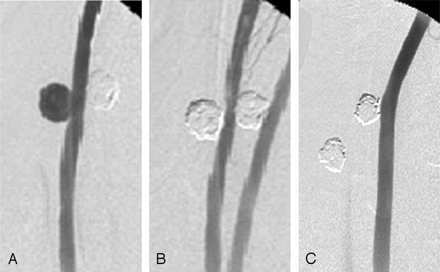 Fig 1.