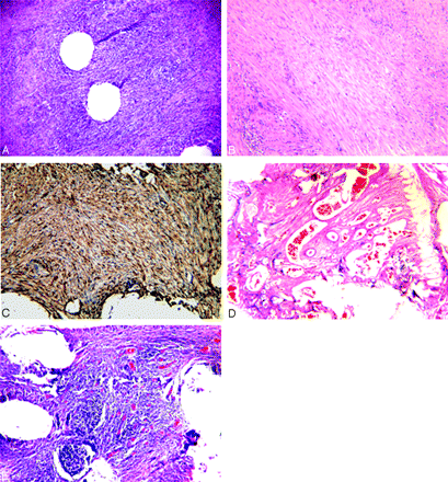 Fig 3.