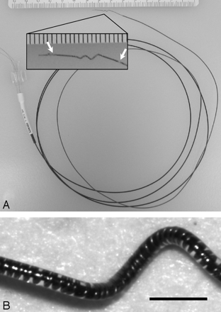 Fig 1.