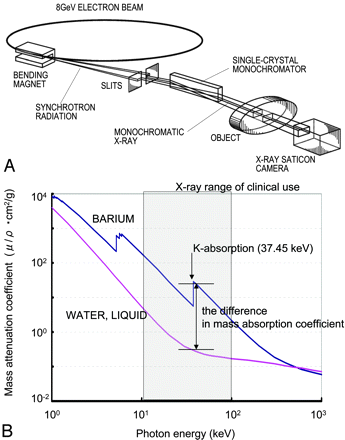Fig 1.