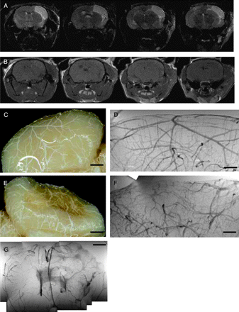 Fig 3.