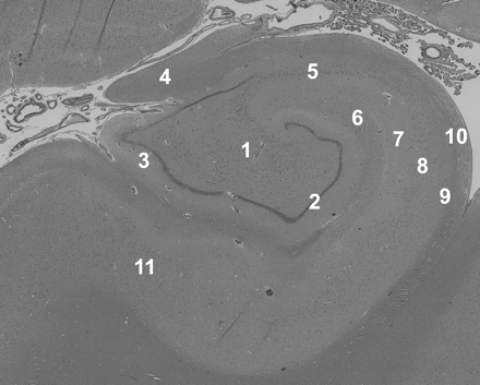 Fig 1.