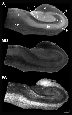 Fig 5.