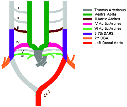 Fig 11.
