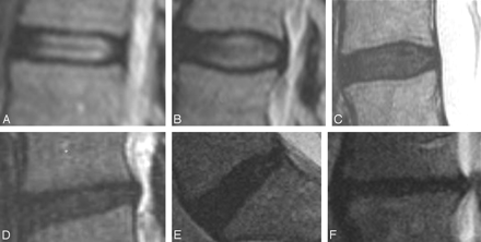 Fig 1.