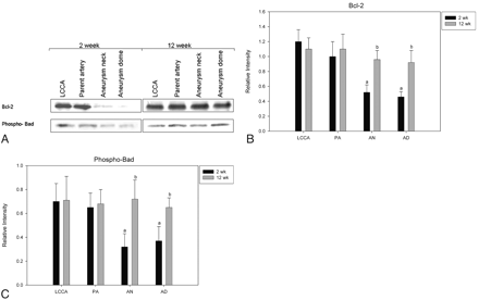 Fig 3.