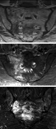 Fig 7.