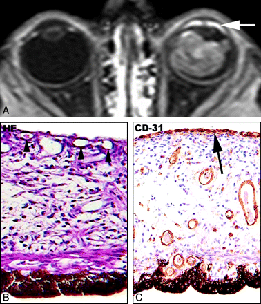 Fig 4.
