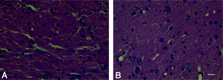 Fig 4.