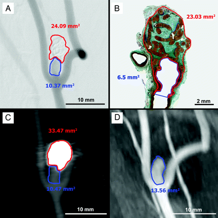 Fig 1.