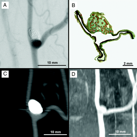 Fig 4.