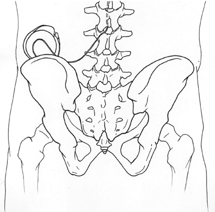Fig 1.