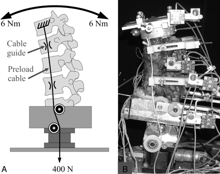 Fig 1.