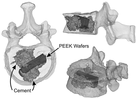 Fig 3.