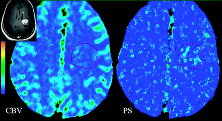 Fig 6.